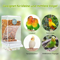 Automatischer auslaufsicherer transparenter Vogelfutterspender