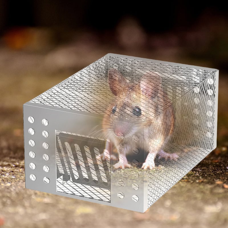 1_5_db1374c1-b752-4b07-875e-e9ec6e685ae2