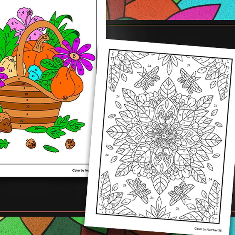6e002e17-9bdd-43e0-8c1c-67072b1f0000