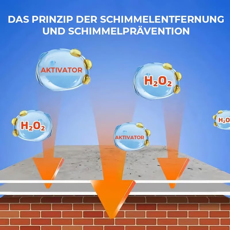 Schnell wirkendes Anti-Schimmel-Wandreinigungsspray