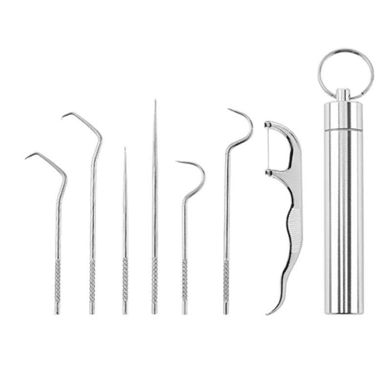 Juego de Palillos de Dientes de Acero Inoxidable