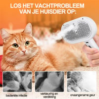 Sunnook 3-in-1 Spray Kattenborstel
