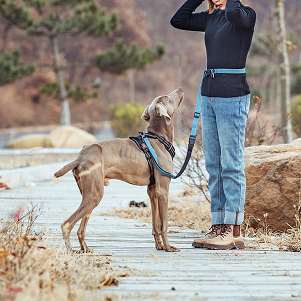 1_853044f0-0912-4cf9-875a-bf7b9a19ffd2