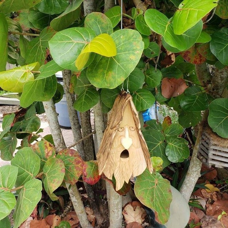 Einzigartiges Vogelhaus