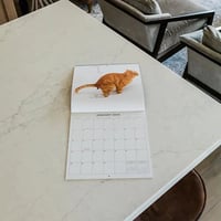 Katteafskræk kalender