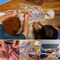 Anatomie-Puzzle für Kinder