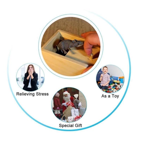 76cc8c0136335f7f9482f4c5ac98ac92