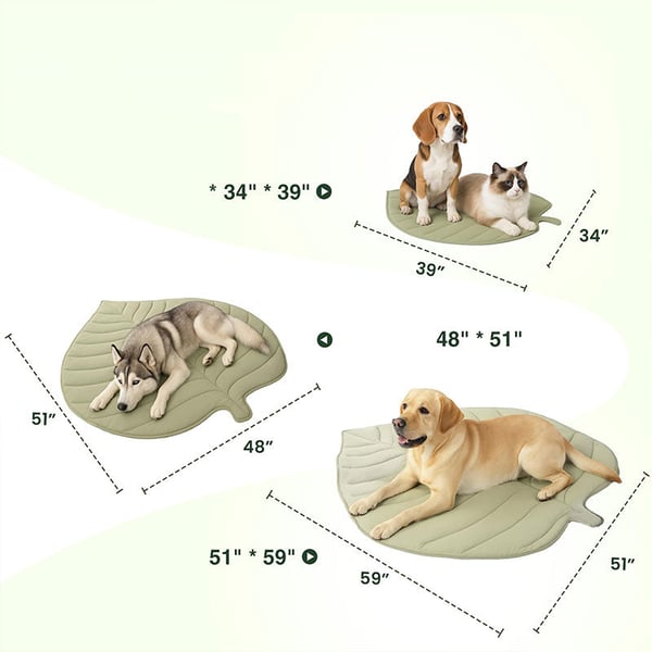 11_878696ef-ba7f-4d71-b81c-d5717067aeb6