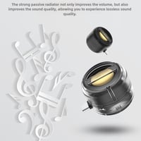 Portable 5X Speaker Amplifier
