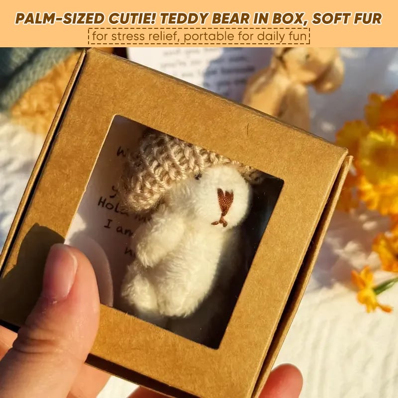Handmade Mini Plush Teddy Bear in Box
