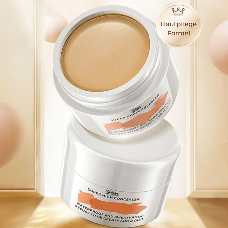 🔥heißer Verkauf🔥Langanhaltender wasserfester Concealer