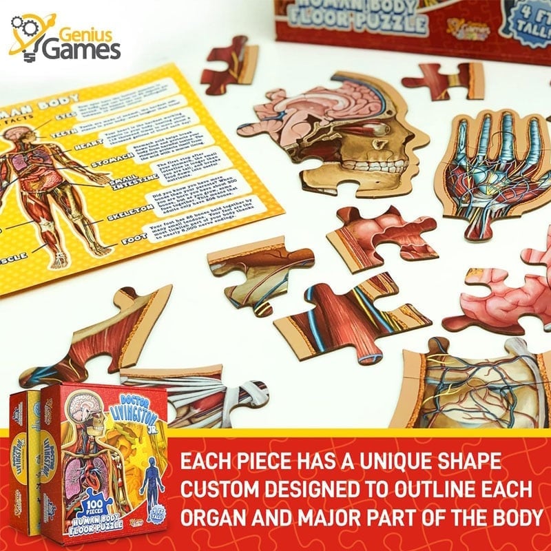 Anatomie-Puzzle für Kinder