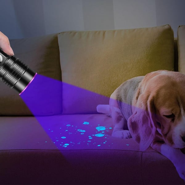 High-power Multi-functional Tracking Flashlight