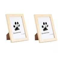Pet Paw Printing Kit