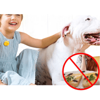 Kakerlak-afvisende middel