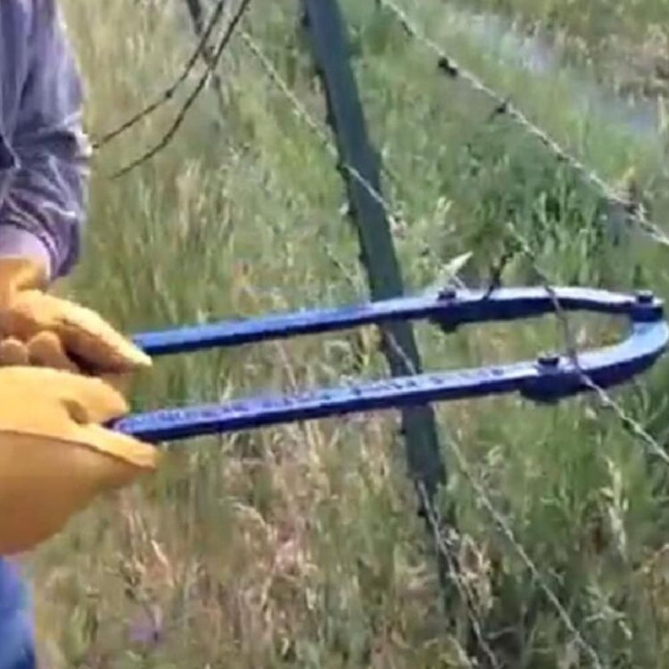 c1a87066-ecfe-4666-53f6-81272674a800