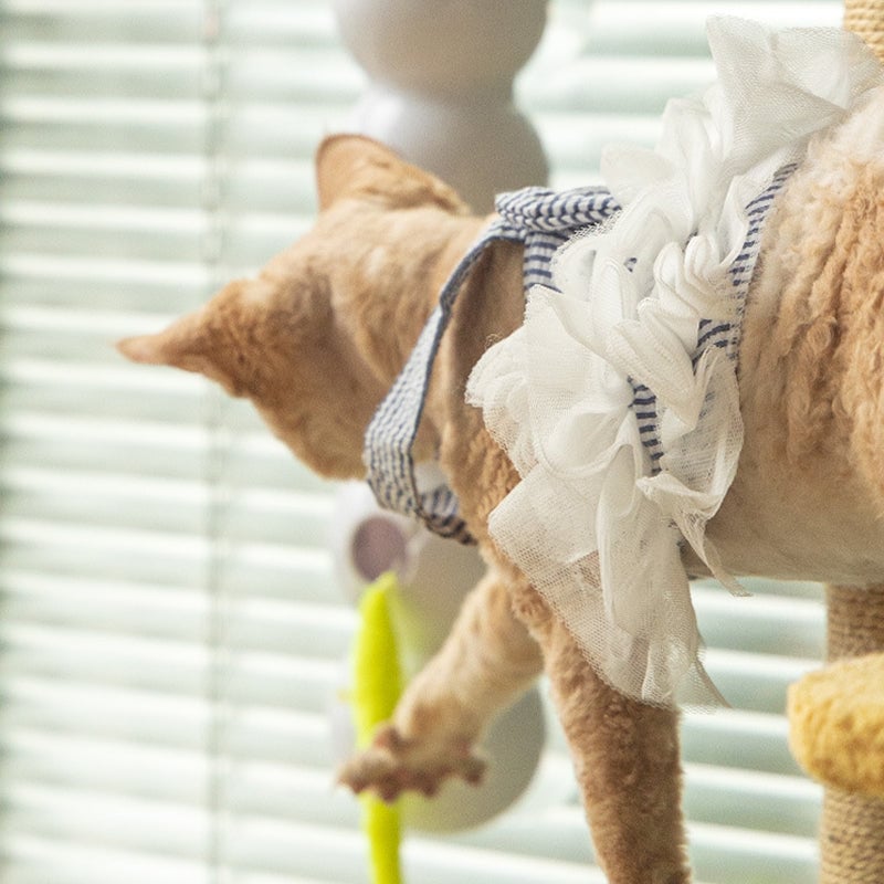 🐱Interactief Elektrisch Rups Speelgoed