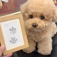 New Pet Paw Printing Kit