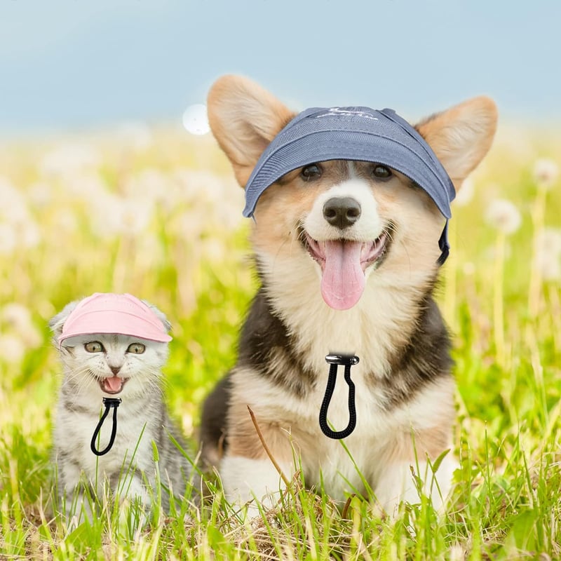 Buitenzonweringkap voor honden