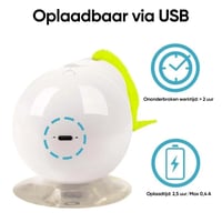 🐱Interactief Elektrisch Rups Speelgoed