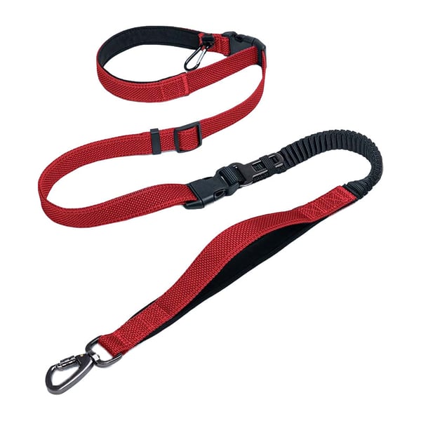 2_3e0132ec-3cb2-45c7-a34a-08d7bd84908c