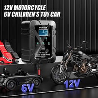 6v 12v Automatic Intelligent Recognition