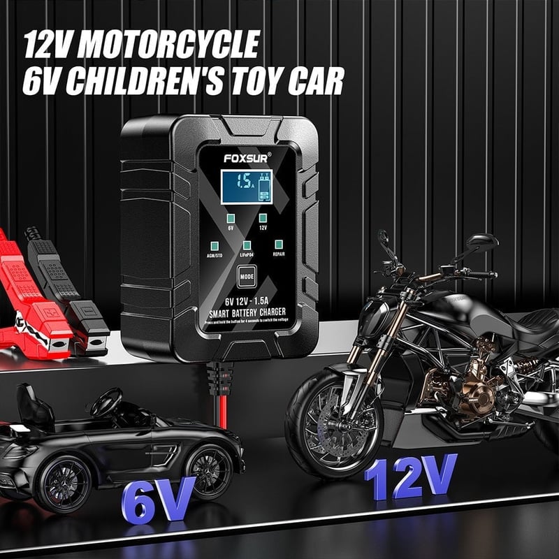 6v 12v Automatic Intelligent Recognition