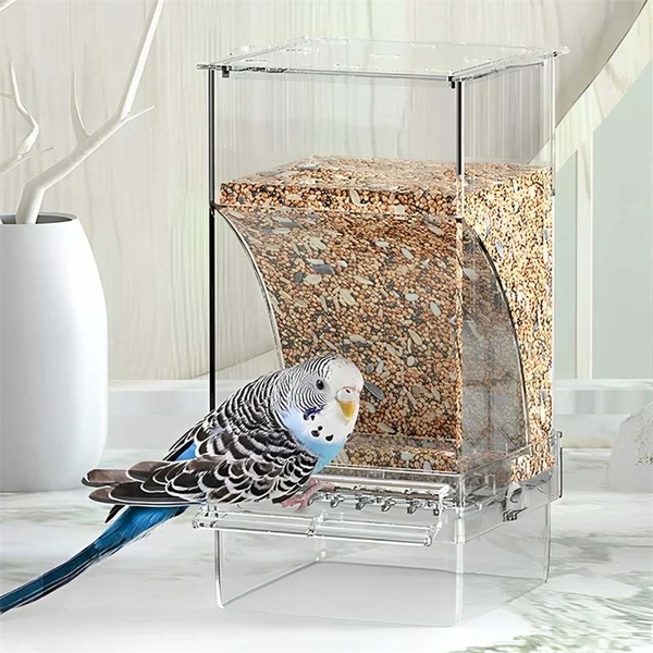 Automatischer auslaufsicherer transparenter Vogelfutterspender