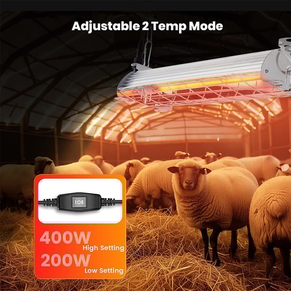 4_e6afad1f-a3bf-4410-8489-f9a6c90595f8