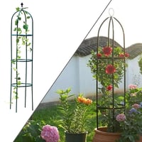 Garden Trellis for Climbing Plants