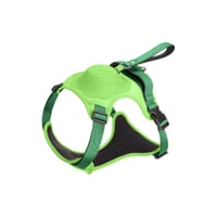 Hundeleine, mehrere Farben