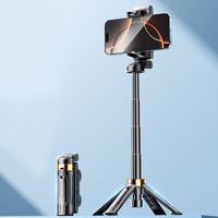 Multifunctional selfie stick