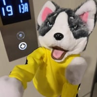 Kung Fu Husky Gants en peluche