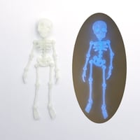 Skeleton Refrigerator Magnet