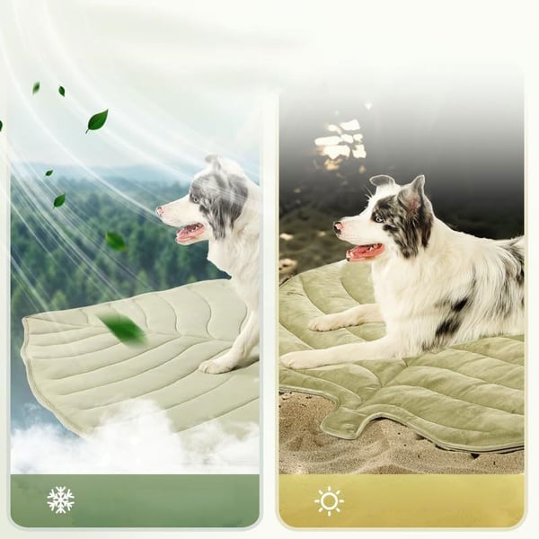 10_acd07c68-86af-41ec-86d3-05e41039e2fa