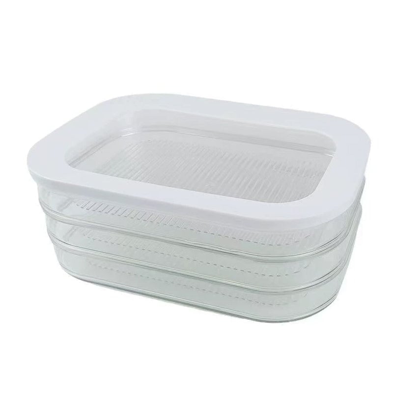 Multi-Layer Food Storage Box with Lid
