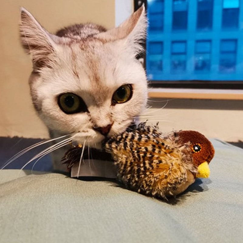 🐱 Katzenspielzeug - Simulierter zwitschernder Vogel