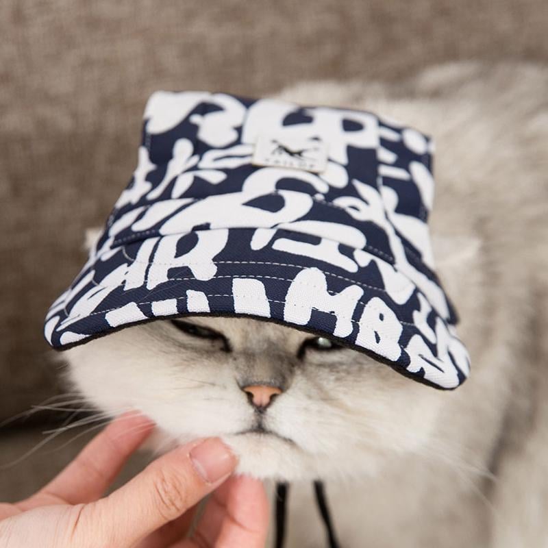 Creative Pet Hats