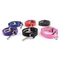 bunter Sitzgurt für die Sicherheit des Hundes