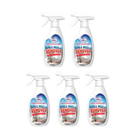 Fast Acting Anti-Mold Wall Cleaner Spray
