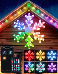 Smart Led Snowflake Christmas Lights