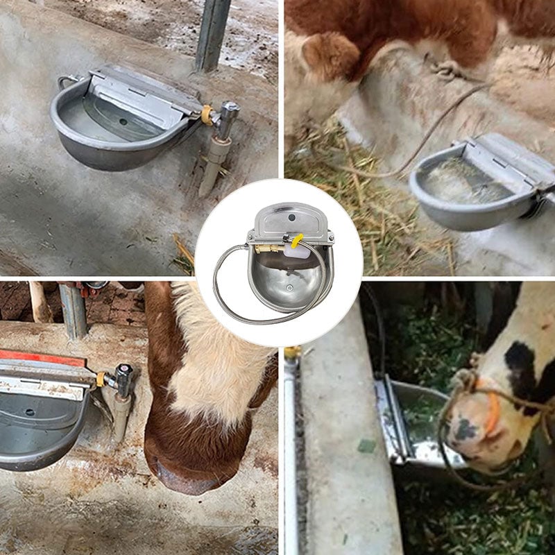 9f51552b11f9d48d1aa47638aceefcfb_3da9356a-f699-4afe-8e55-3c1d8af4c6e4