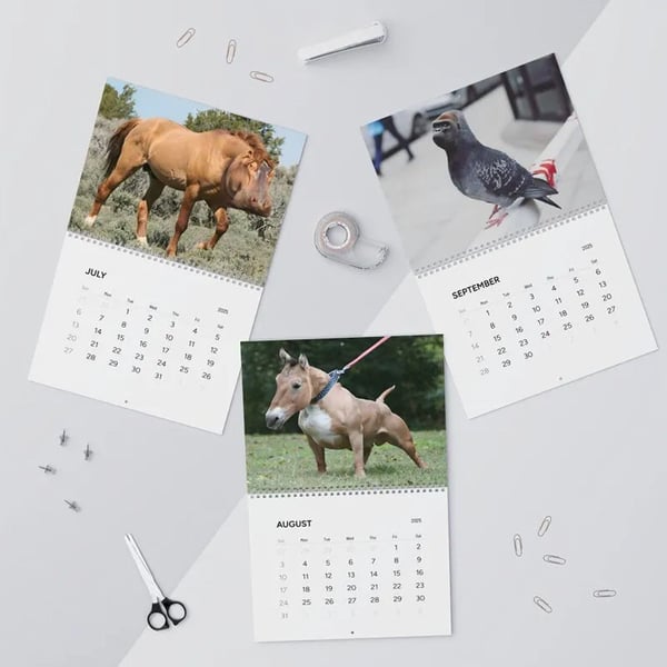2025 Hybrid Animals Calendar