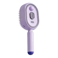 Electric Spray Air Cushion Massage Comb