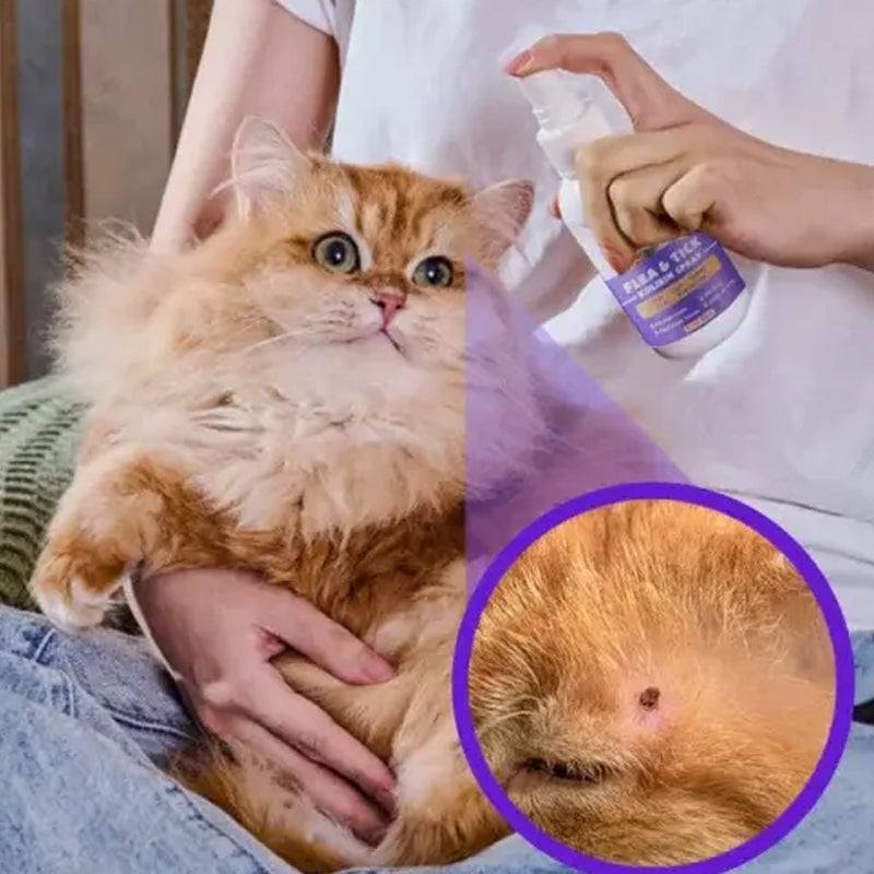 01_7_08c8ff37-7833-4357-a3fd-919bf393ab57