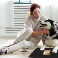 Dog Scratch Wooden Pad for Nails with Treat Drawer