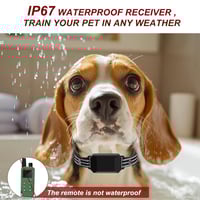 5_a91dec4f-d2a1-4bc2-91f0-bbfba4fe0821