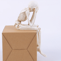 Creative Skeleton Skull Decor