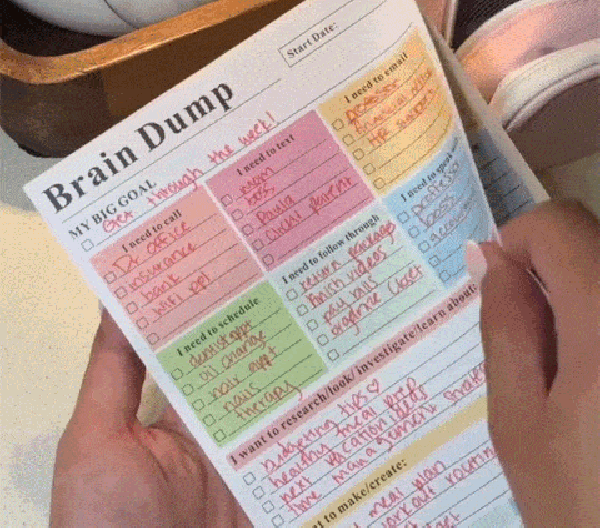 Filled Brain Dump Planner showing categorized tasks