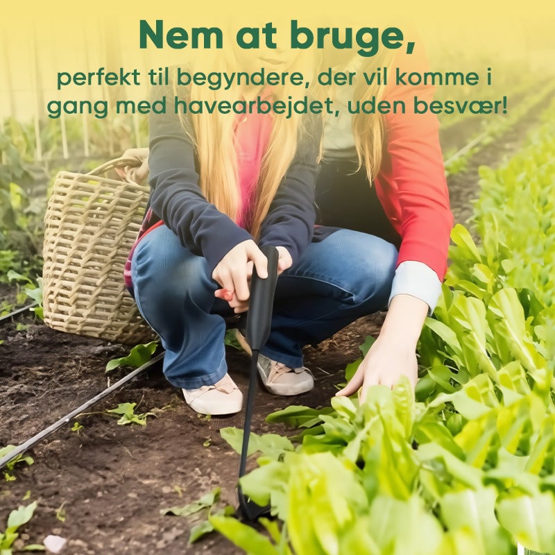 7_aa15d8f6-72a9-4f69-838f-3bcbb1b38ca9